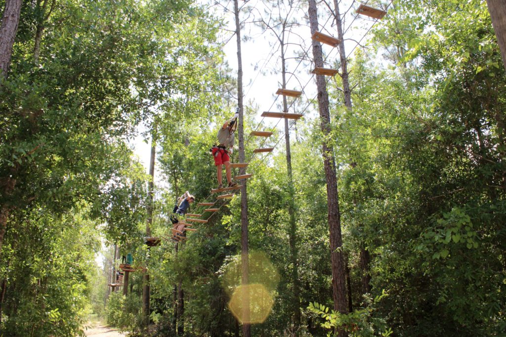 orlando tree trek 