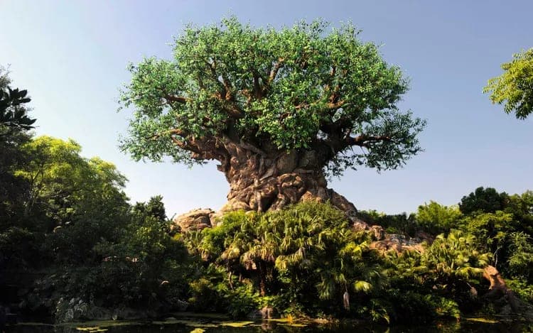 Explore the Wild Wonders of Disney's Animal Kingdom