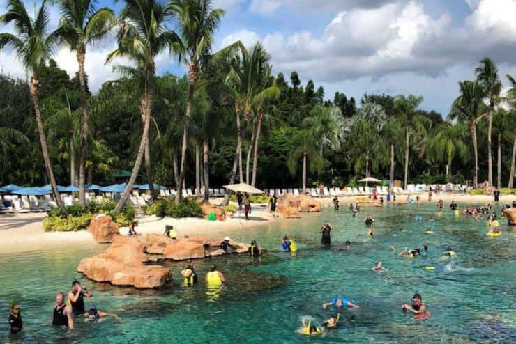 Discovery Cove: An All-Inclusive Day Near SeaWorld