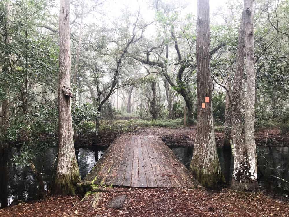 Nature Trails & Parks