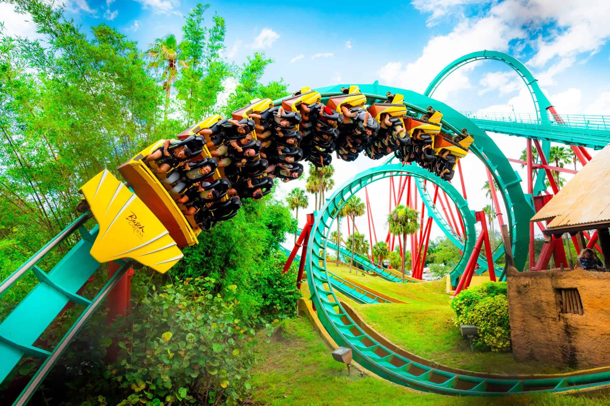Busch Gardens Tampa — A Wild Mix of Coasters and Creatures