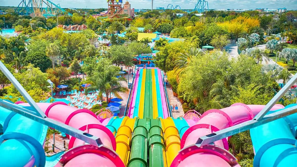 The Best Time to Visit Orlando, Month by Month